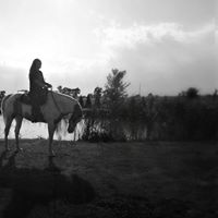Alison Myers Photo 22
