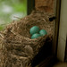 Robin Sill Photo 7