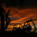 Jorge Fuentes Photo 42