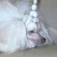 Patricia Stabler Photo 1