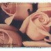 Deborah Hand Photo 14