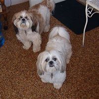 Kathy Millican Photo 3