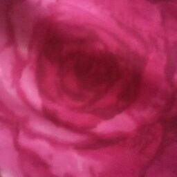 Nadeem Ahmad Photo 50