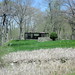 Dorothy Noyes Photo 19