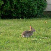 Sandy Atkins Photo 37