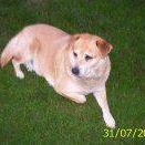 Sue Rohrer Photo 9