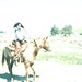 Ruben Kelly Photo 18