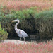Vicki Heron Photo 12