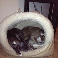 Robyn Bruns Photo 6