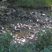 Marden Stone Photo 8