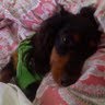 Heather Rawls Photo 27