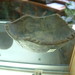 Paul Corbin Photo 17