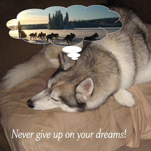 Linda Griggs Photo 12