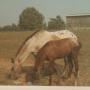 Marsha Price Photo 15
