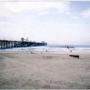Lisa Carey Photo 38