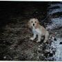 Ann Dorman Photo 18