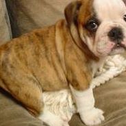 Gage Robinson Photo 5