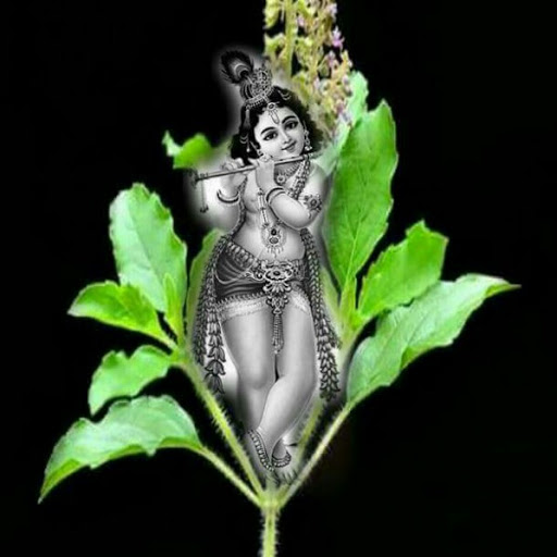 Sunil Raman Photo 24