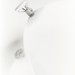 Steve Schwarz Photo 13