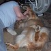 Eddie Combs Photo 34