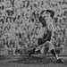 Sandy Walter Photo 29