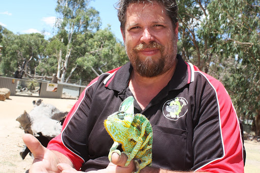 Mark Ward Photo 8