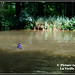 Julie Province Photo 6