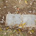 Rebecca Mobley Photo 31