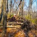 David Losee Photo 23