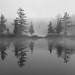 Binh Ly Photo 13