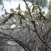 Jenny Poole Photo 32