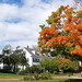 Ellen Reed Photo 11