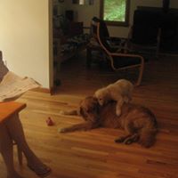 Paula Sherman Photo 23