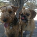 Bonny Bailey Photo 7