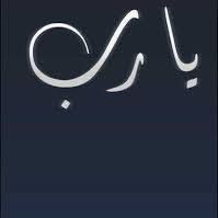 Ahmed Elkady Photo 6