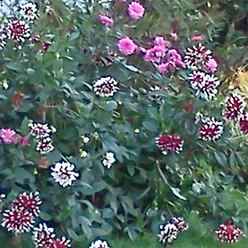 Ann Ware Photo 3