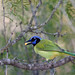 Jay Morris Photo 18