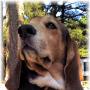 Debra Coleman Photo 20