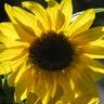Michele Rietz Photo 3