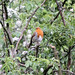 Robin Lee Photo 15