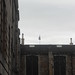 Scot Ward Photo 18