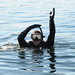 Bradley Yoder Photo 11