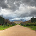 David Plante Photo 32