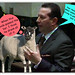 Jose Baez Photo 13