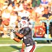 Mark Mcgee Photo 18