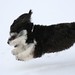 Joy Rocco Photo 6