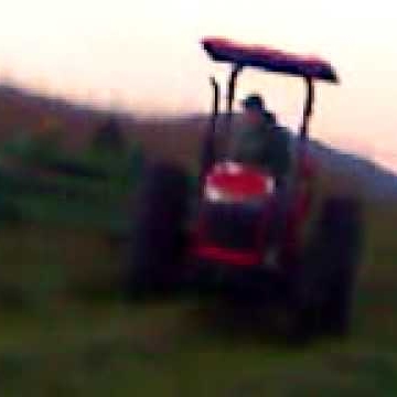 David Dickenson Photo 8