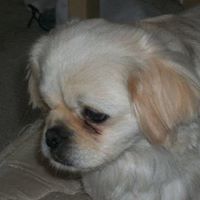 Gary Robison Photo 12
