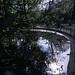 Stephen Brunell Photo 2