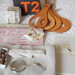 Alison Case Photo 15